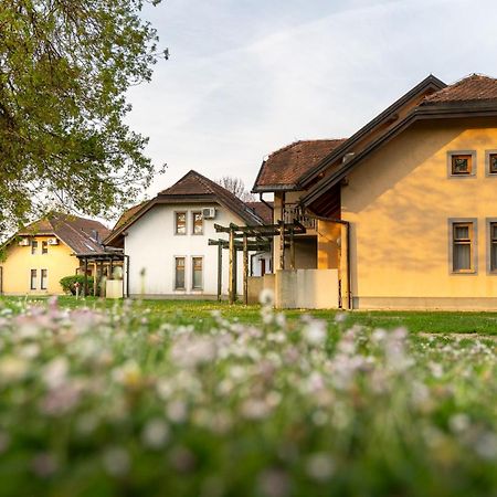 Terme Banovci - Hotelsko Naselje Zeleni Gaj ภายนอก รูปภาพ