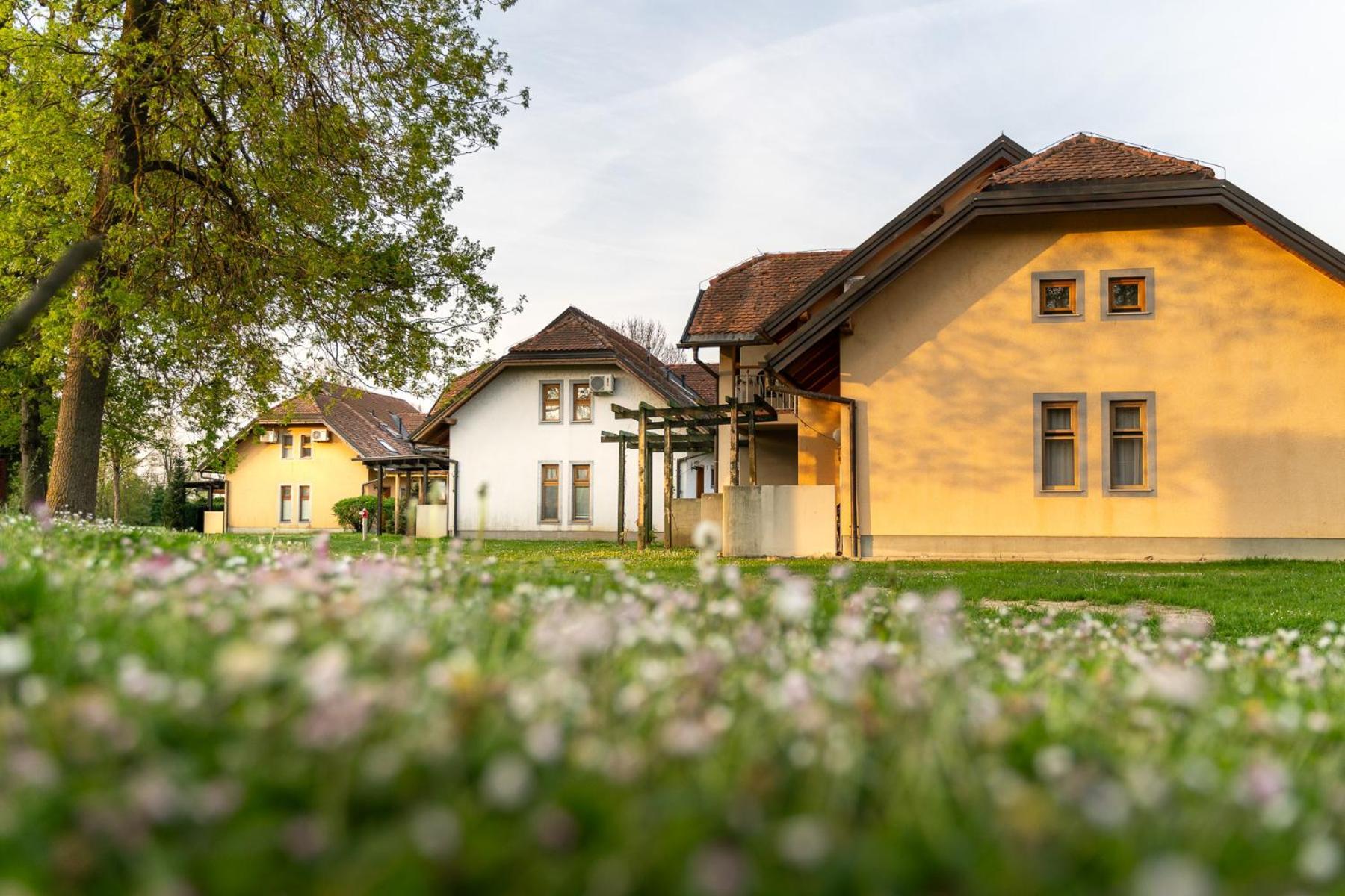 Terme Banovci - Hotelsko Naselje Zeleni Gaj ภายนอก รูปภาพ